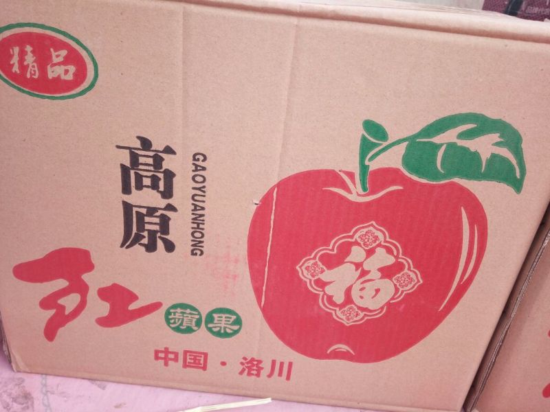 红富士苹果70mm以上纸+膜袋