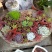 多肉植物带盆栽好品种多价格低四季常青