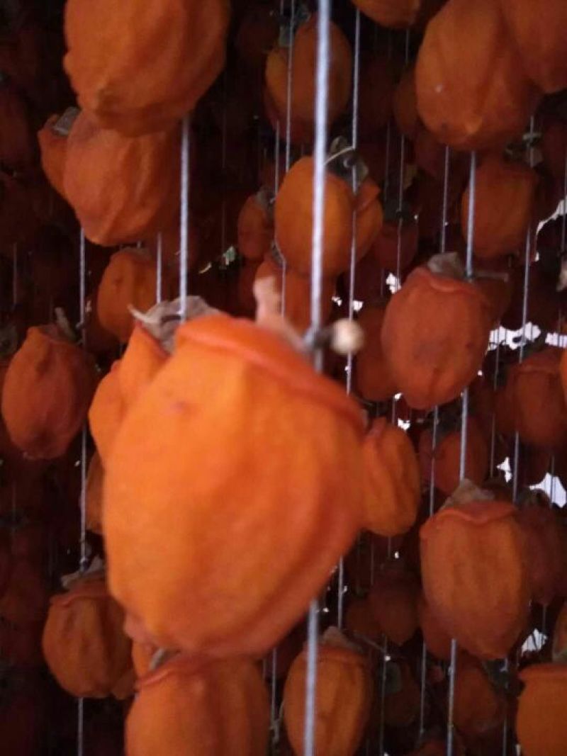 柿饼1~2两
