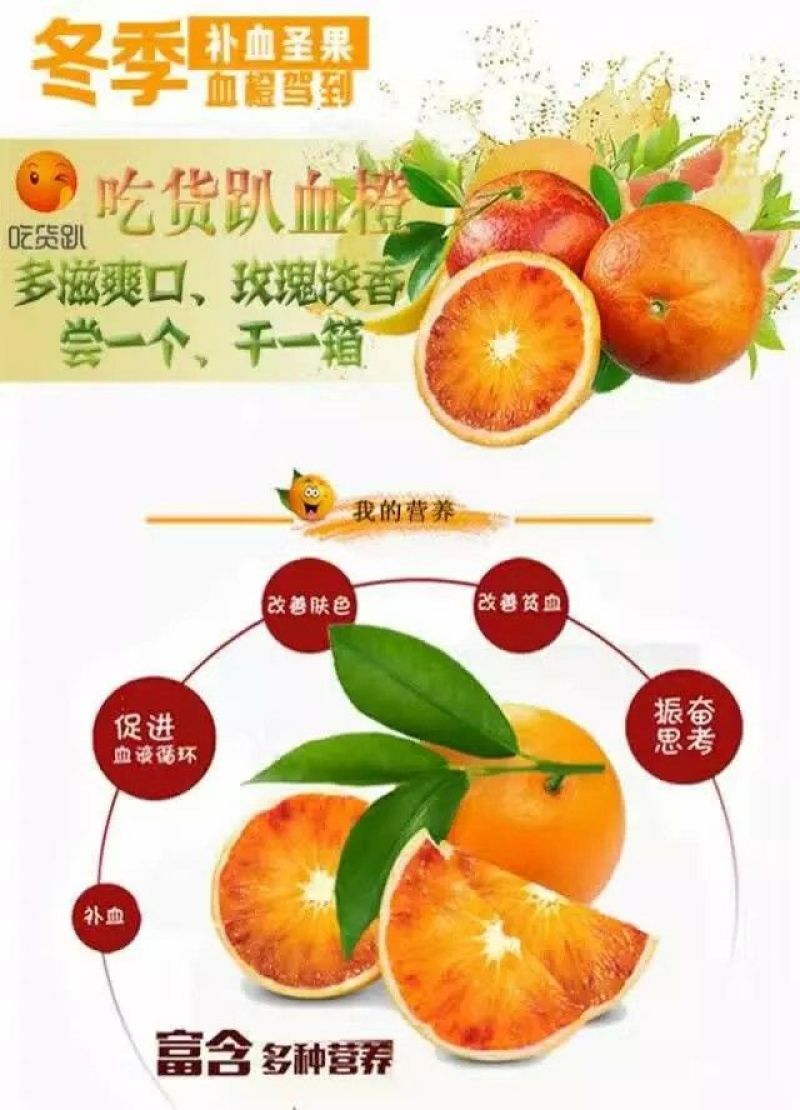 四川眉山仁寿宝飞果园村塔罗科血橙65mm以下