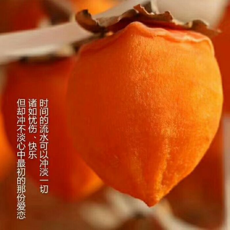 富平吊霜柿饼特级富平柿饼流心降霜柿子饼