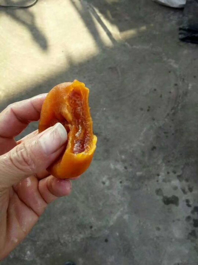 柿饼1~2两
