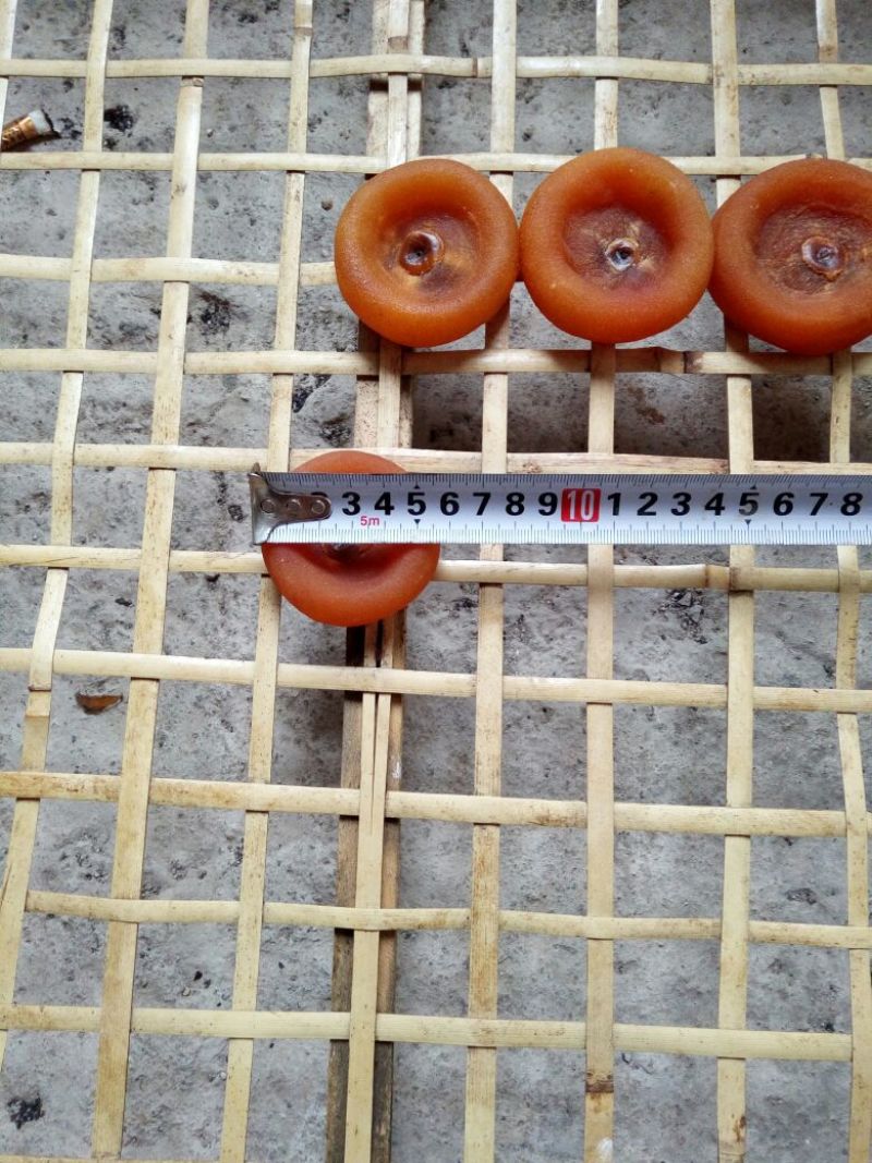 柿饼1~2两