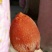 柿饼1~2两