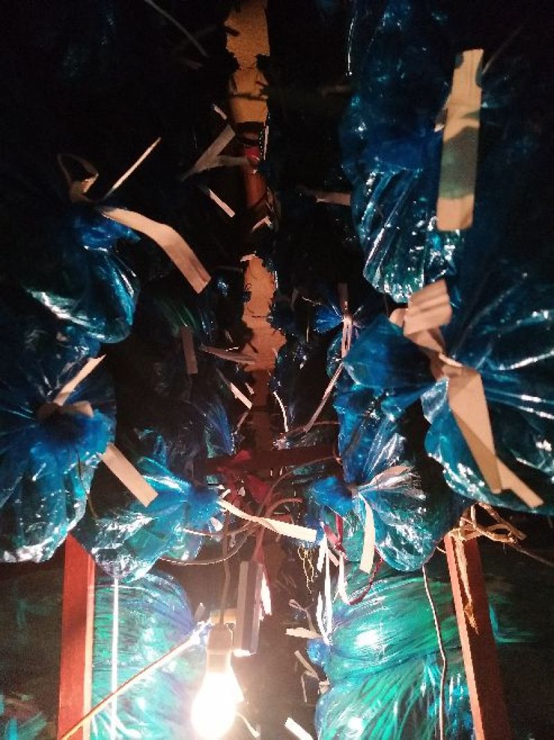 白帽蒜薹60~70厘米产地直销代办托运可精加工等一条龙