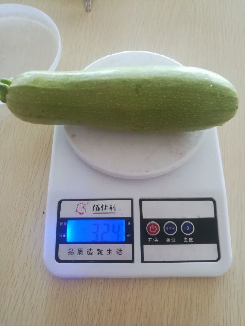 刚刚下来的露天西葫芦，绿皮西葫芦，8两以下精品果