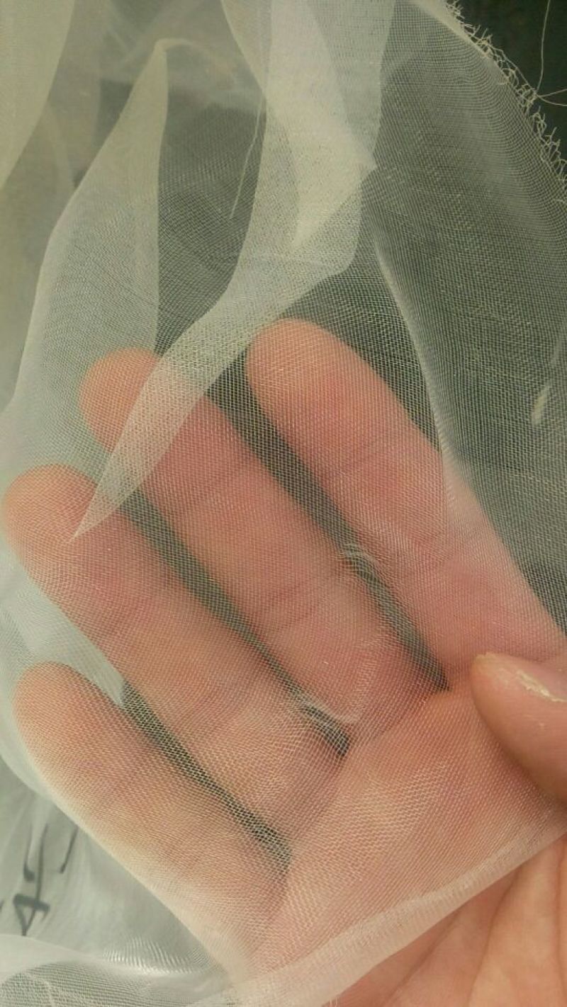 防虫网60目80目100目，耐老化大棚防虫防鸟蚂蚱网