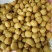 豆腐湿豆腐