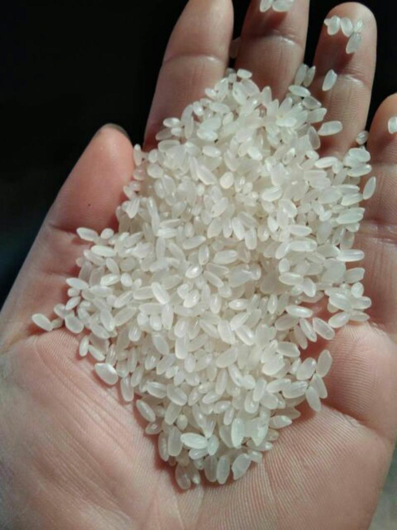 大米，东北长粒香大米，新米中长粒，色泽光亮，饱满，口感好