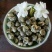茉莉花茶茉莉花茶茉莉花龙珠广西横县茉莉花茶浓香型