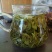 茉莉花茶茉莉花茶茉莉花龙珠广西横县茉莉花茶浓香型