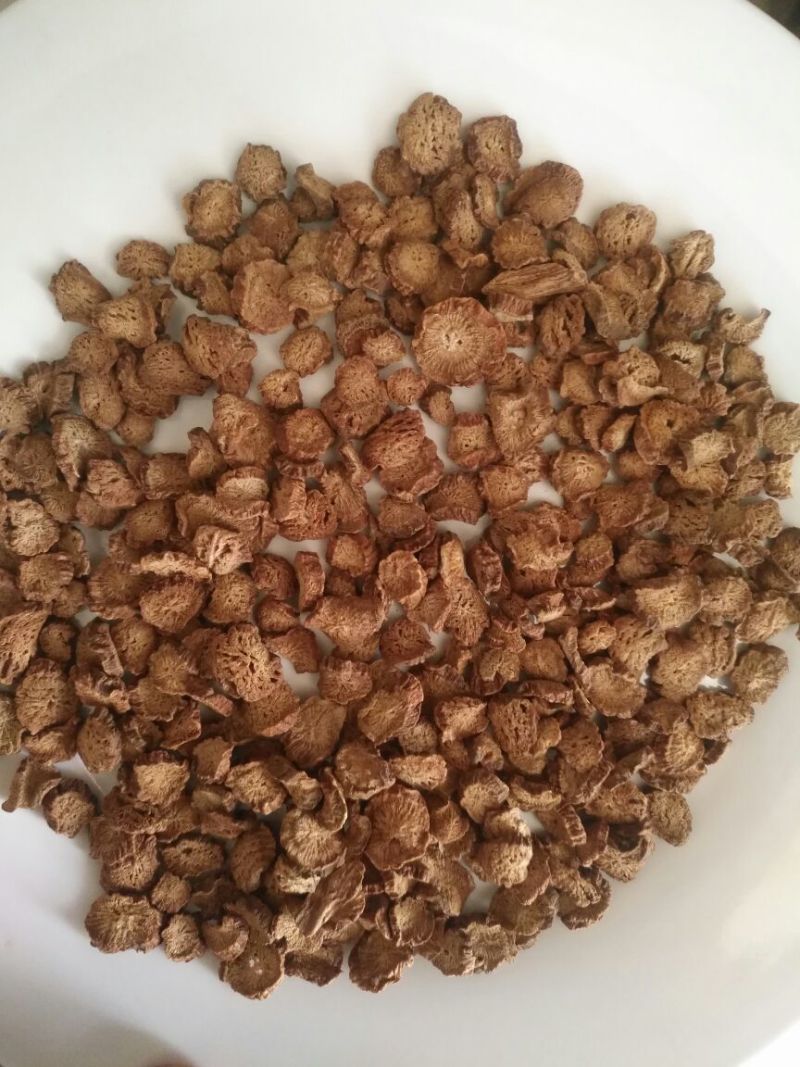 精品牛蒡茶黄金牛蒡茶生产厂家保质保量全国发货
