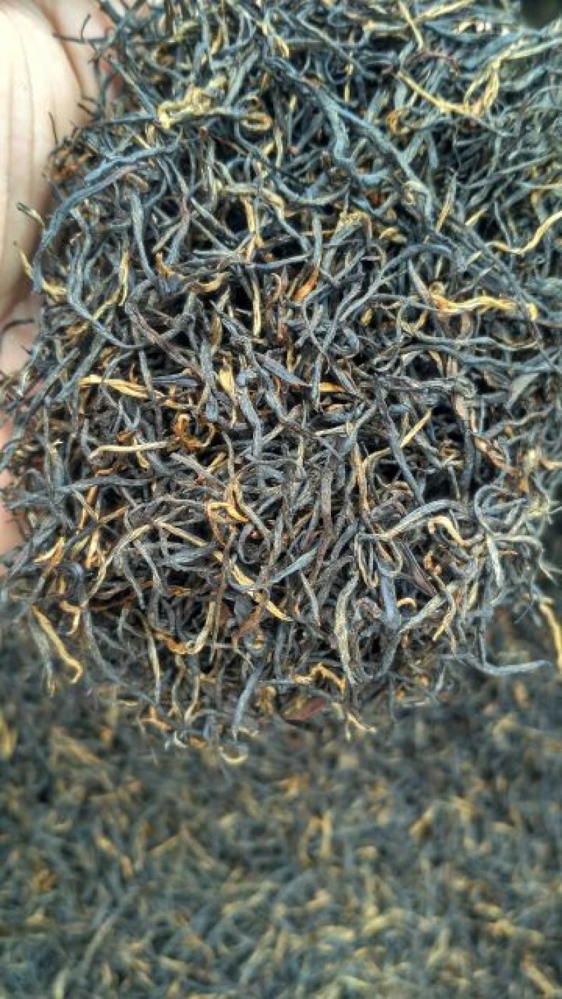 祁门红茶特级