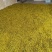 野菊花散装