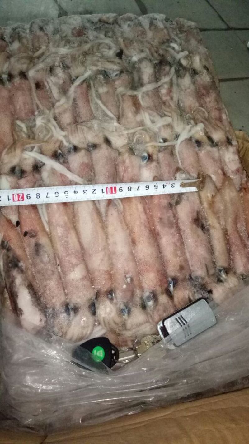 鱿鱼冻鱿鱼