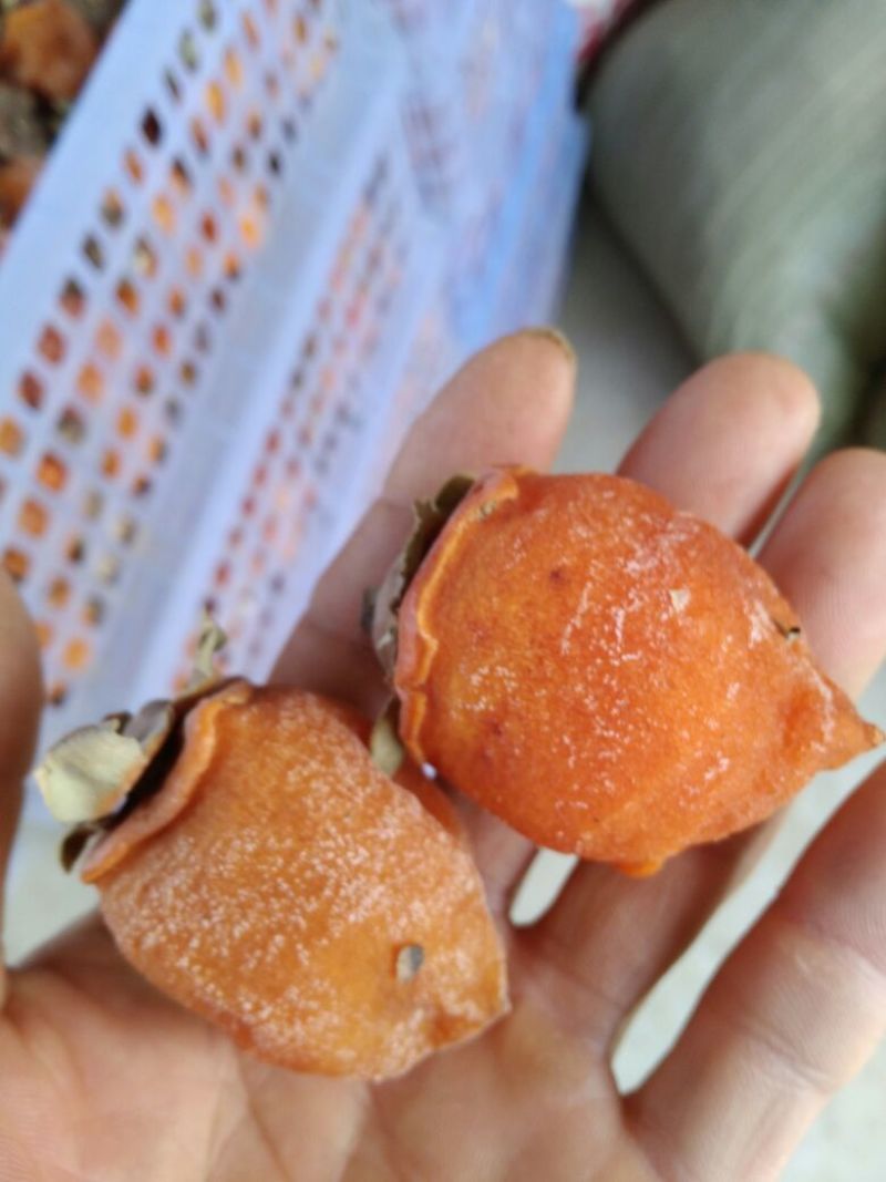 柿饼1两以下