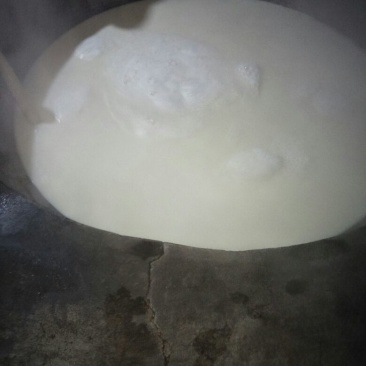 豆腐湿豆腐