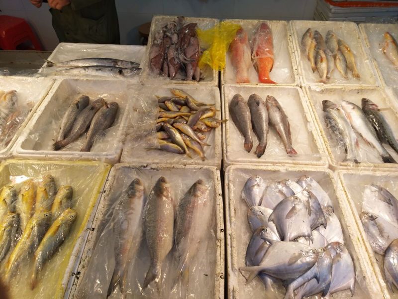 小黄鱼食用