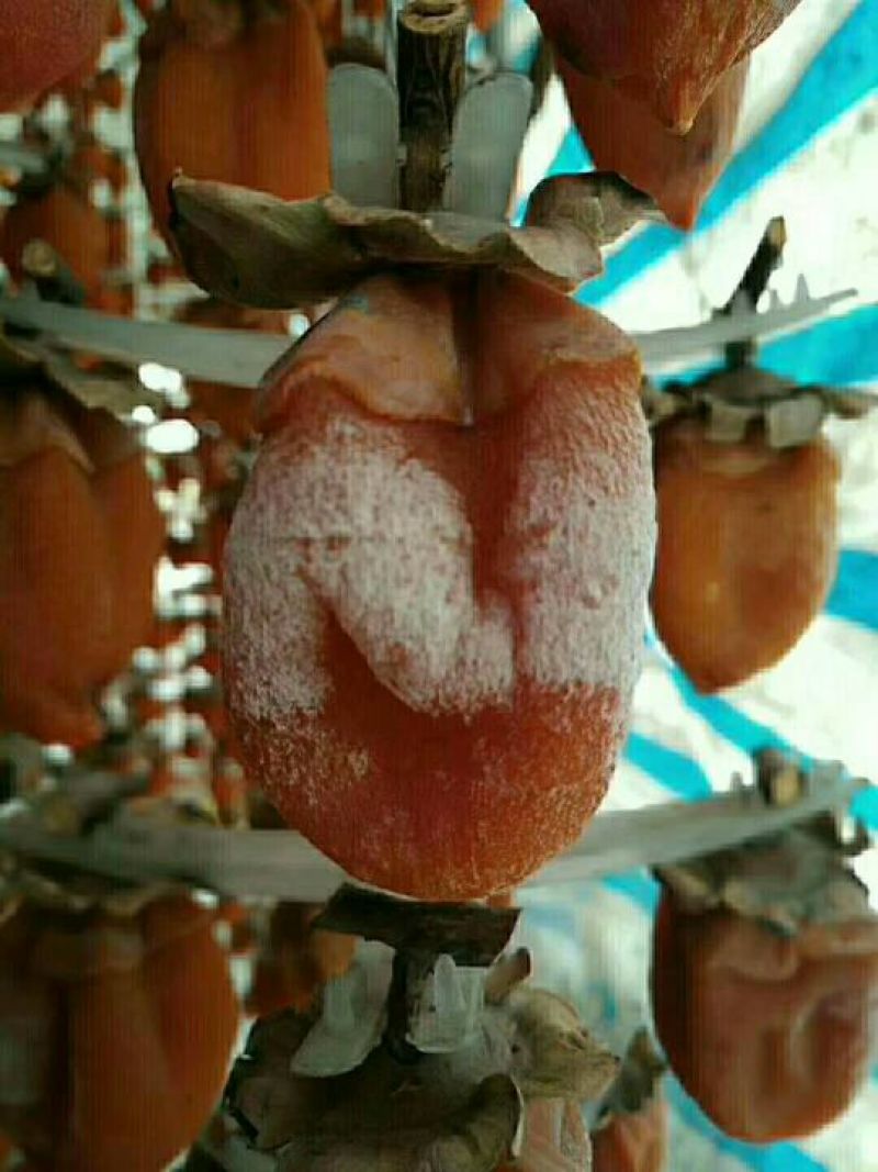 柿饼1~2两