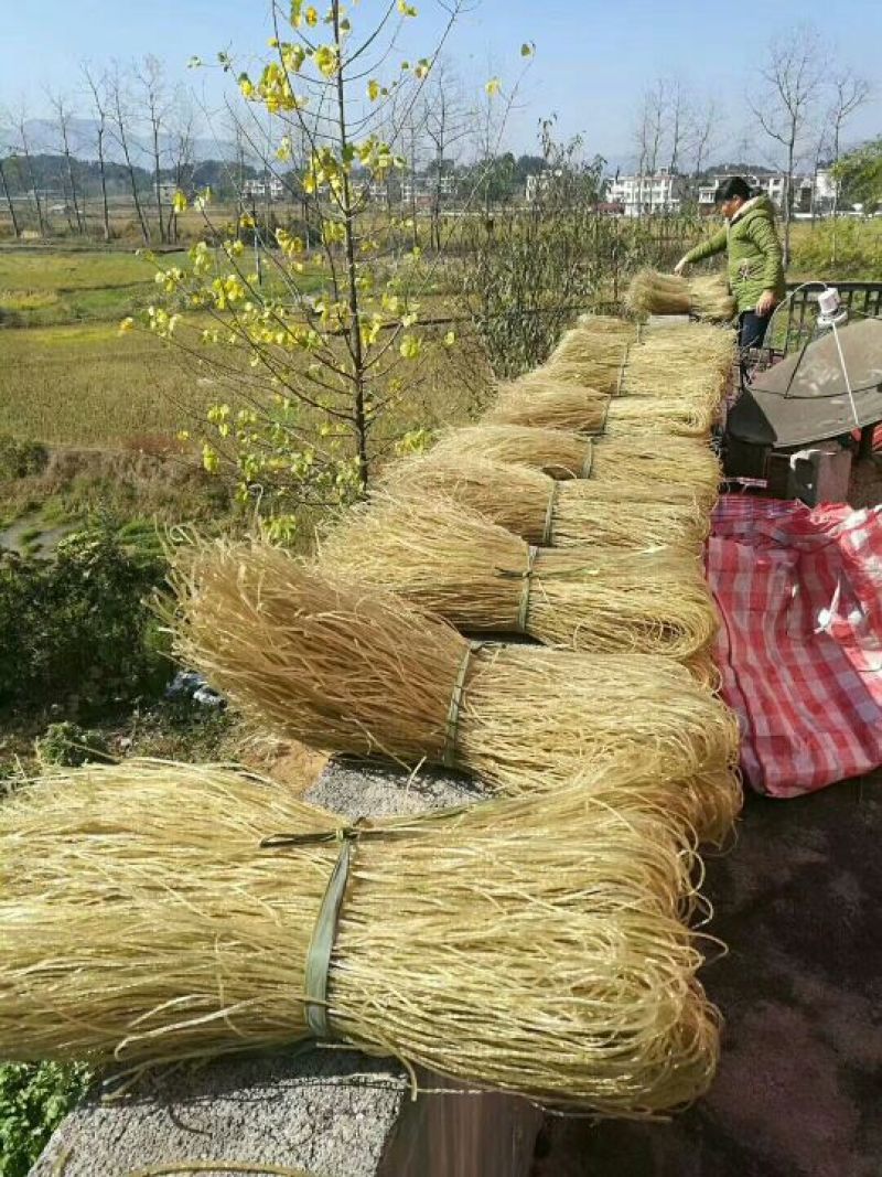红薯粉丝散装