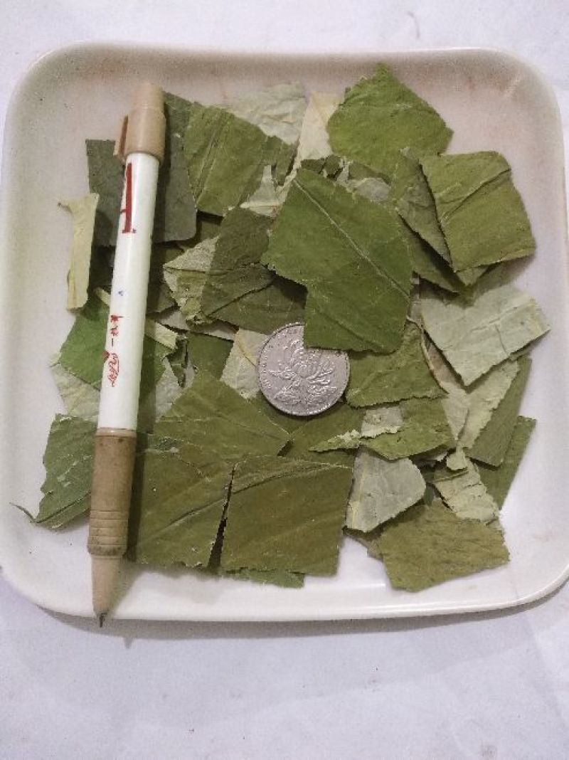 荷叶选货20~25cm