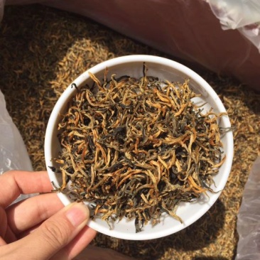 红茶一级