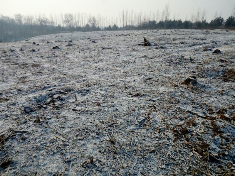 荒山101~1000亩10年以下出租