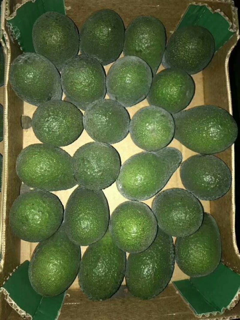 牛油果80~100g