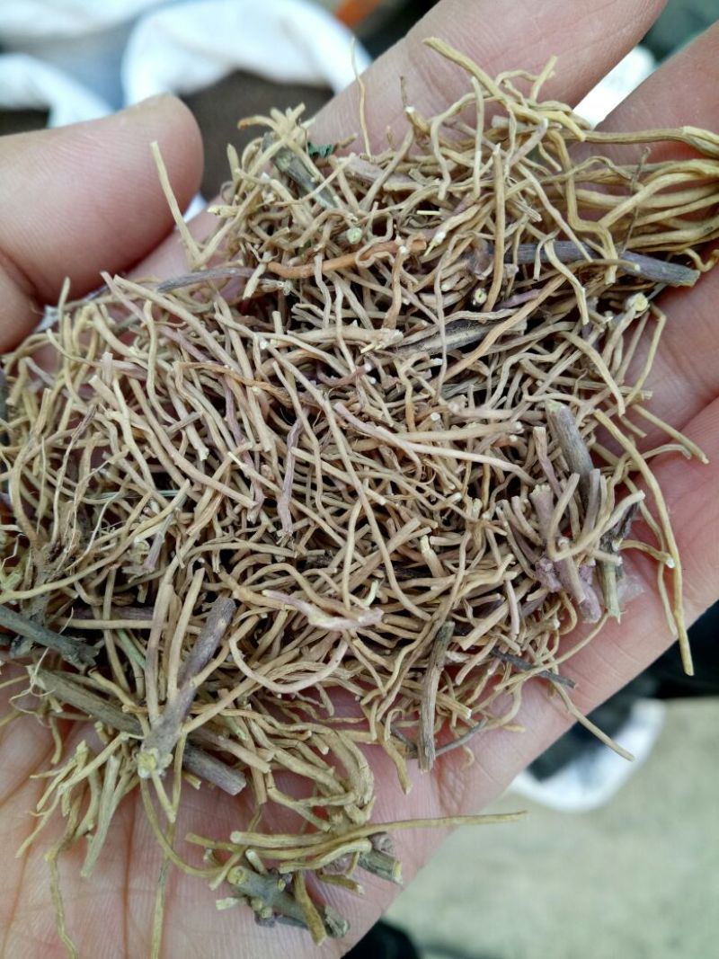 徐长卿干货无硫熏各种规格量大从优