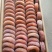 柿饼1~2两