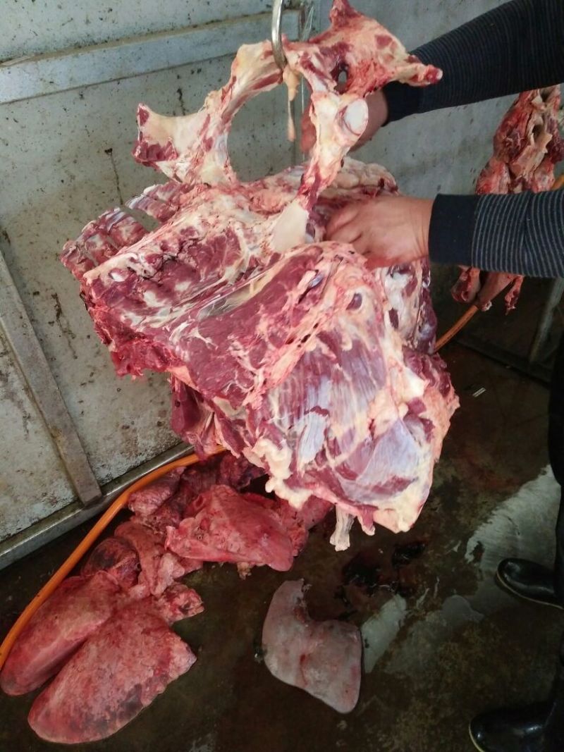 驴肉鲜货