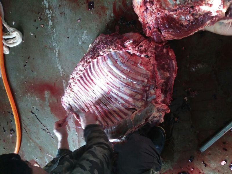 驴肉鲜货