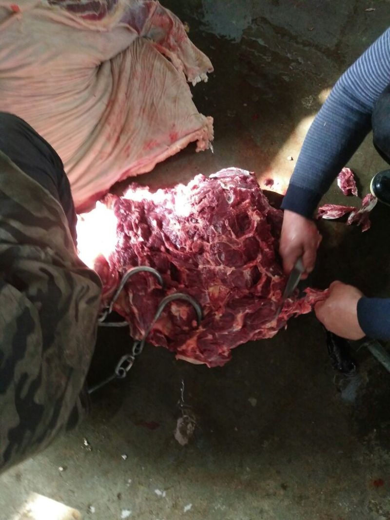 驴肉鲜货