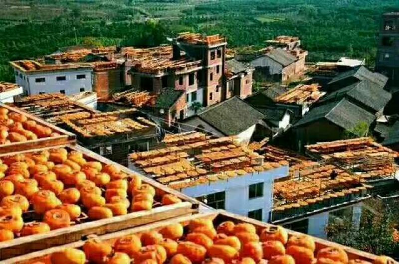 柿饼1~2两