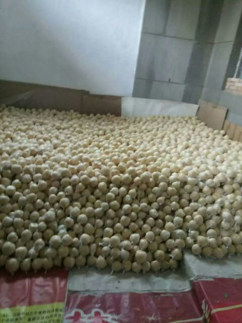 酥梨150~200g纸袋