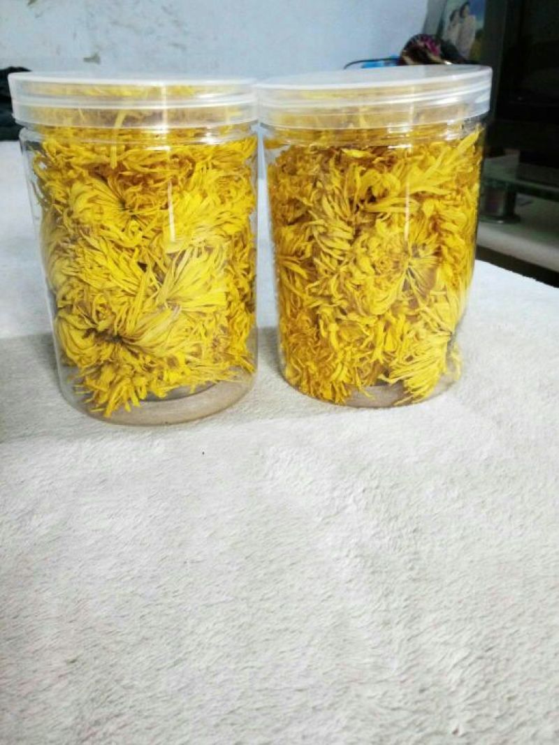 干菊花