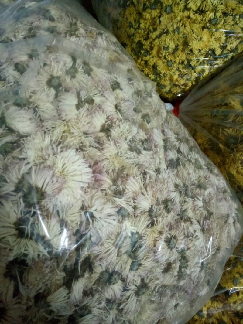 干菊花