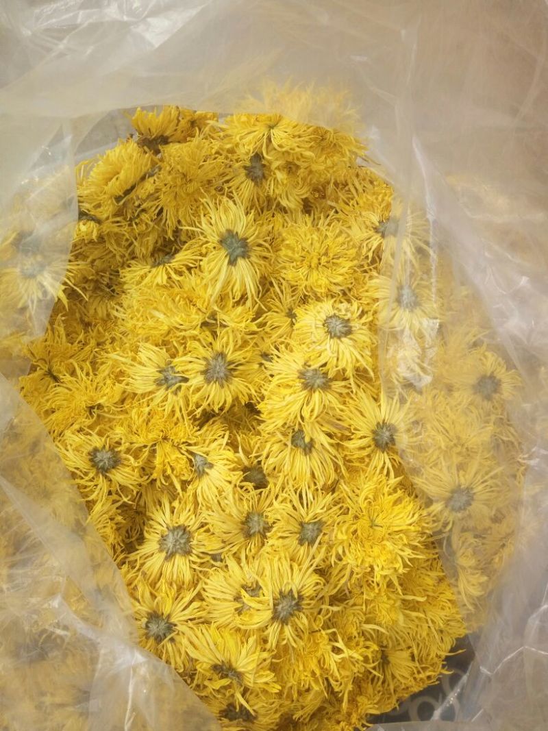 干菊花