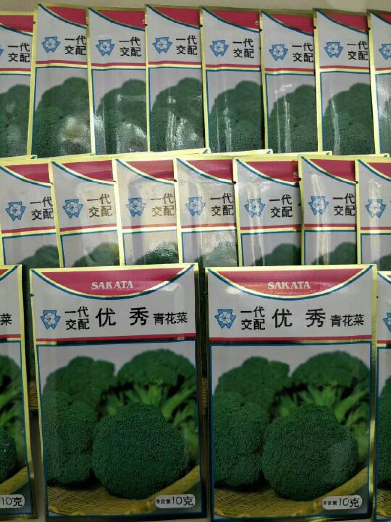 西兰花苗
