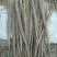 小白嘴白山药2~3厘米40~50厘米一级通货
