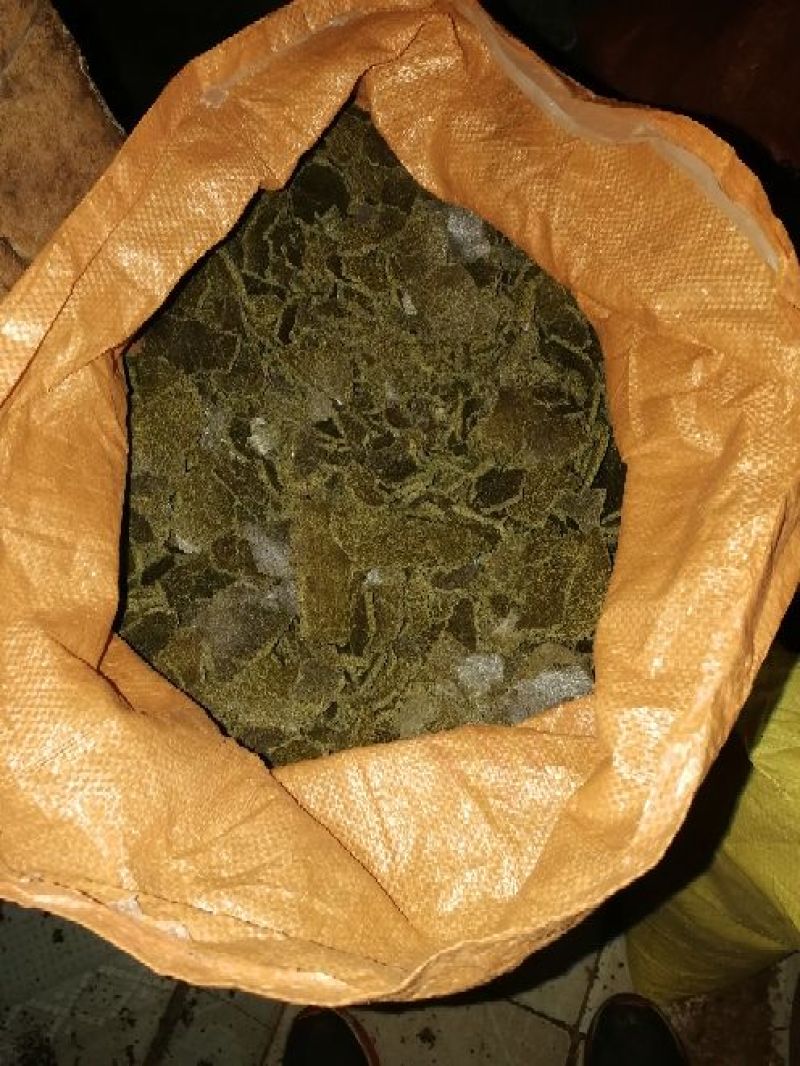 菜籽青饼加工利用