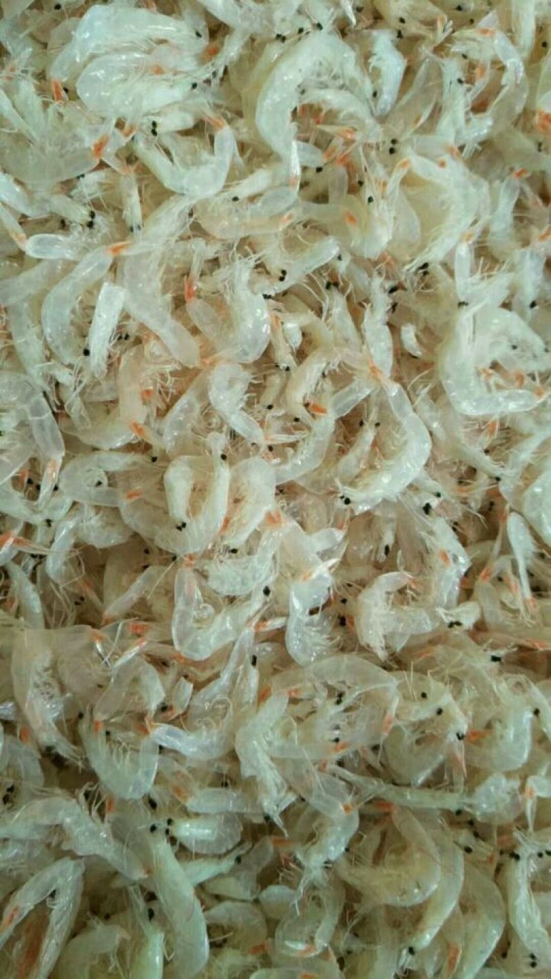虾皮海产干货一手货源，，