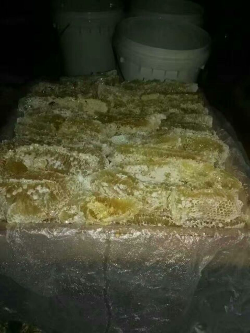 中蜂中华蜜蜂平箱装