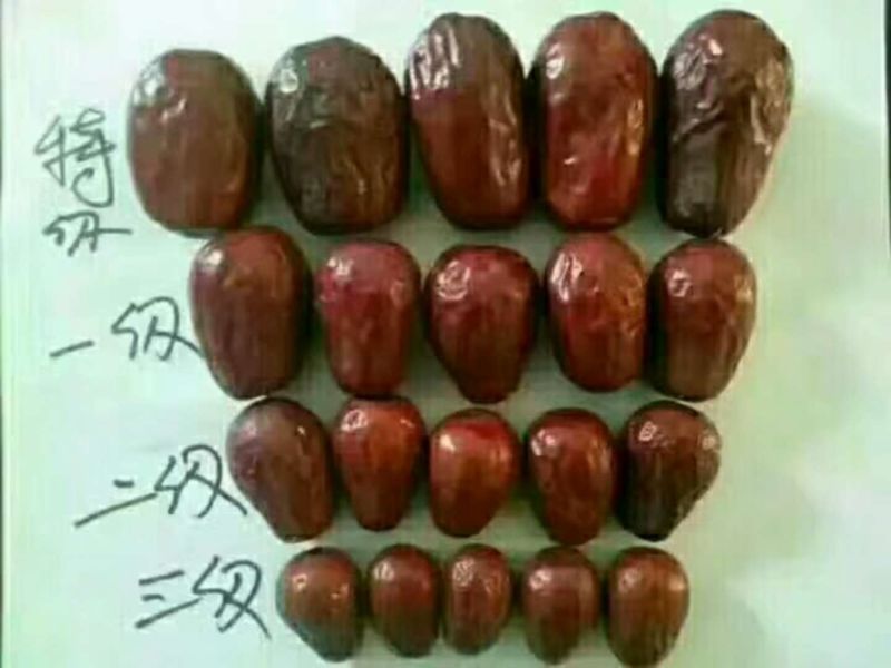 和田大枣特级干枣