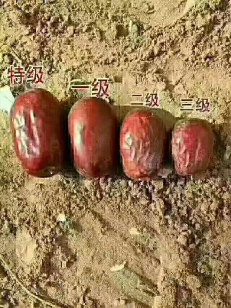 和田大枣特级干枣