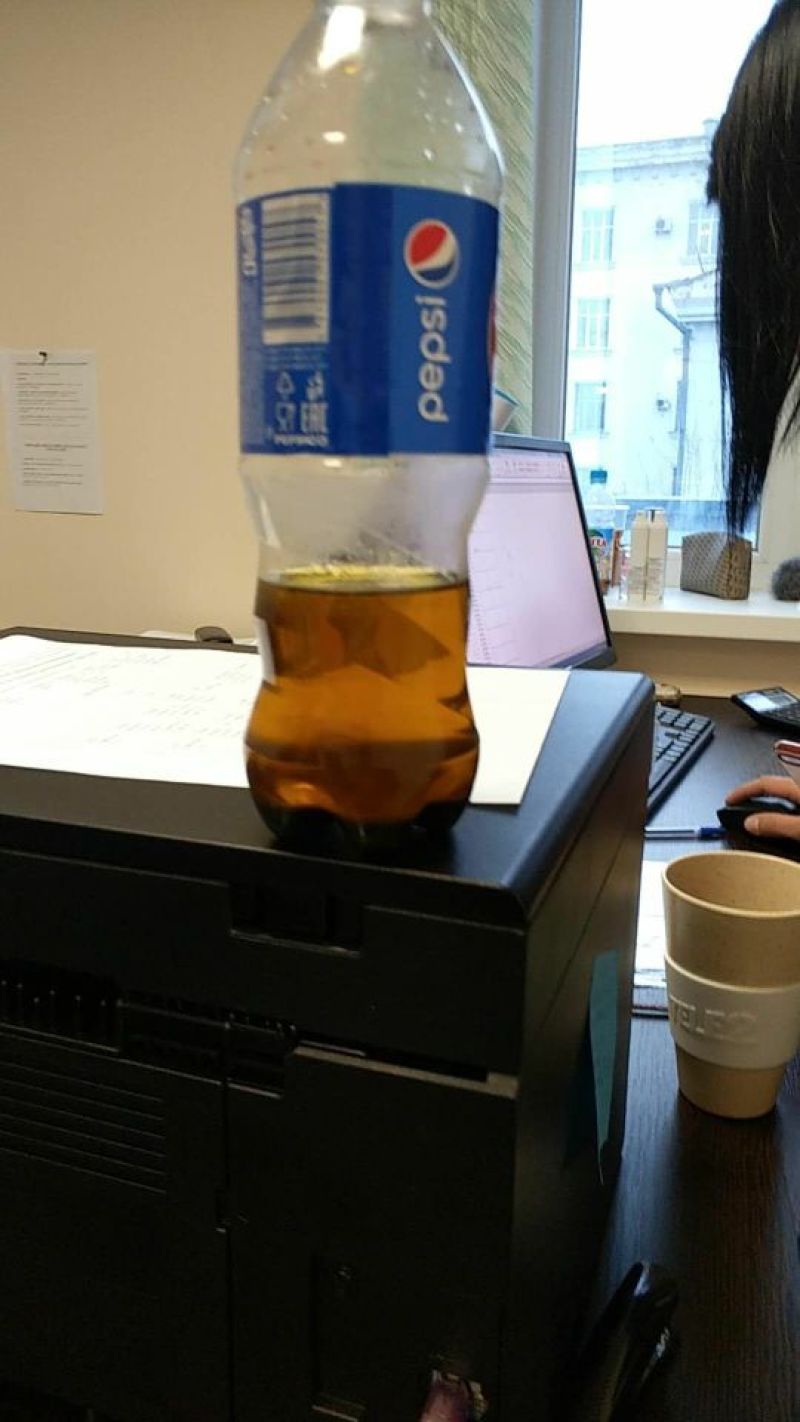 油菜籽1级