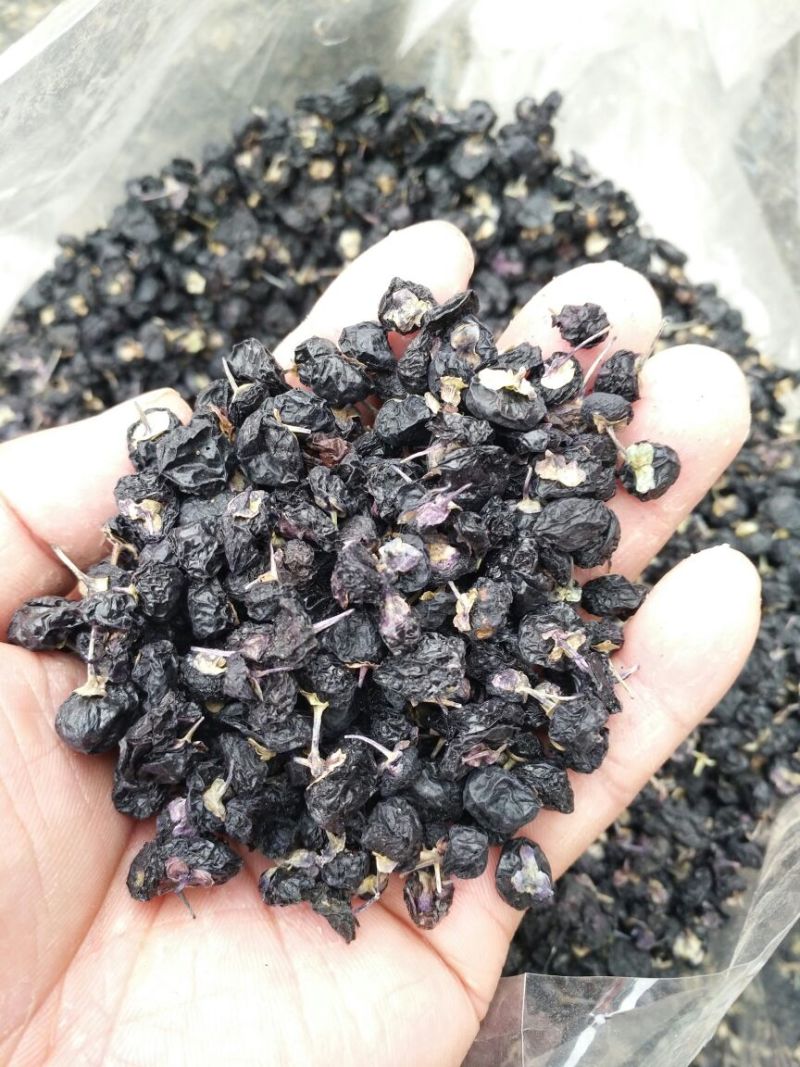 黑枸杞1公斤起批无硫无添加不包邮只做正品