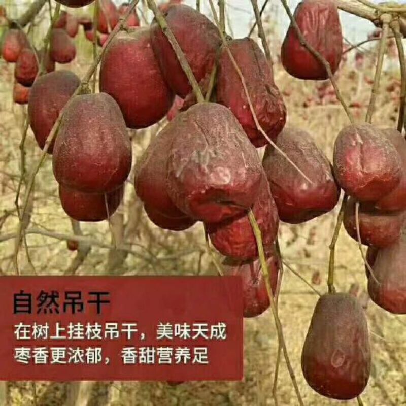 和田大枣特级干枣