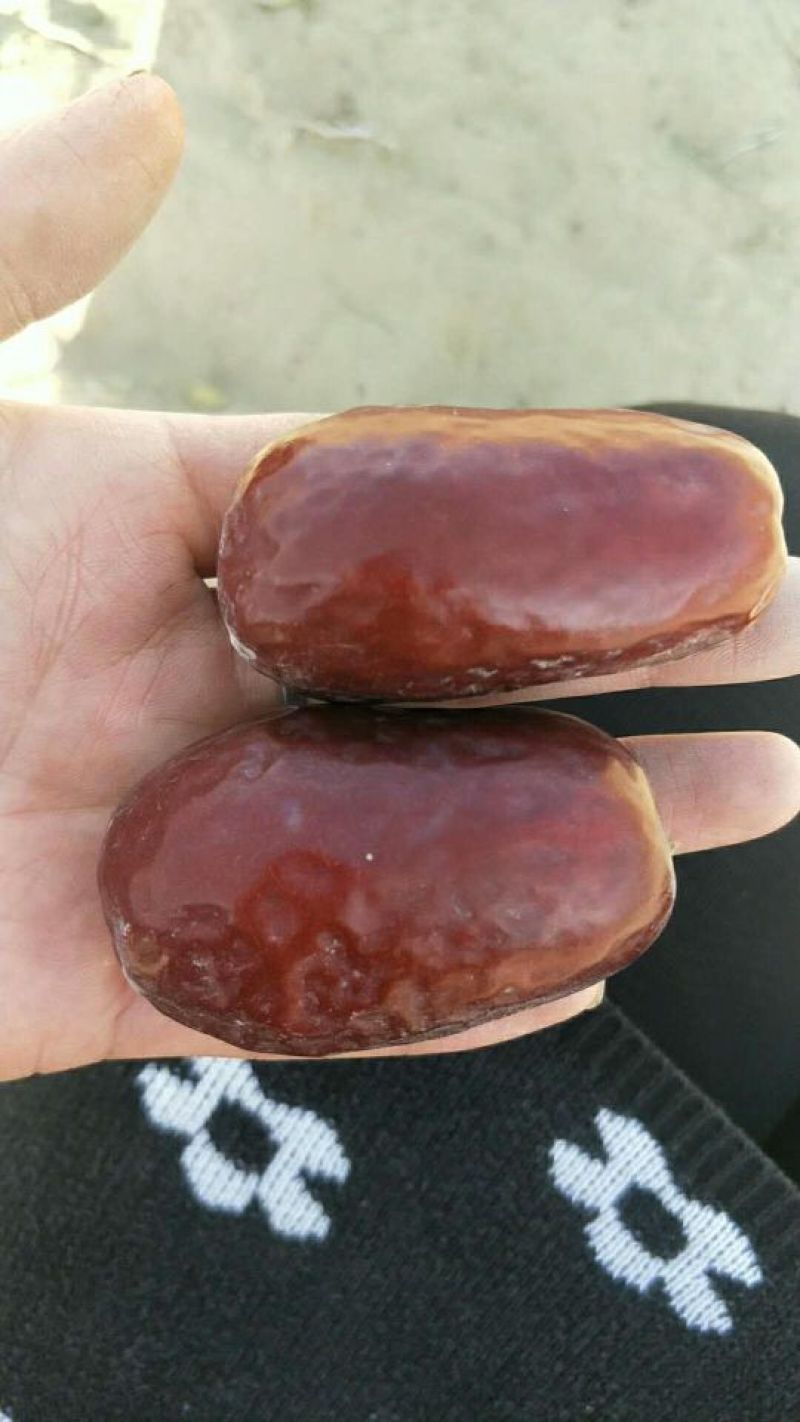 和田大枣特级干枣