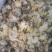 药用菊花散装